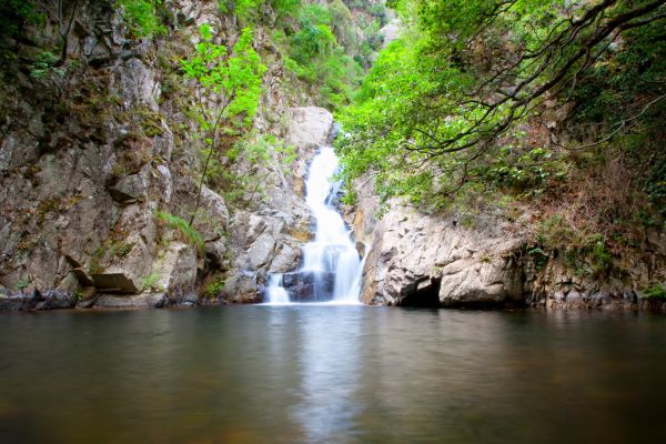 calabriatodo.it (6)