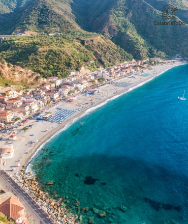 scilla (1)